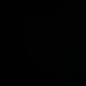 Meet your Posher, Connor